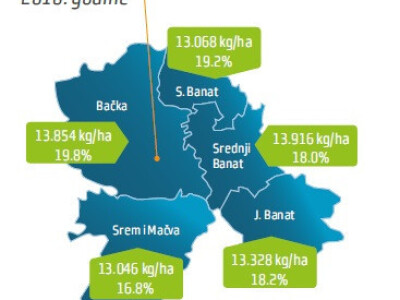 DKC5830 hibrid kukuruza