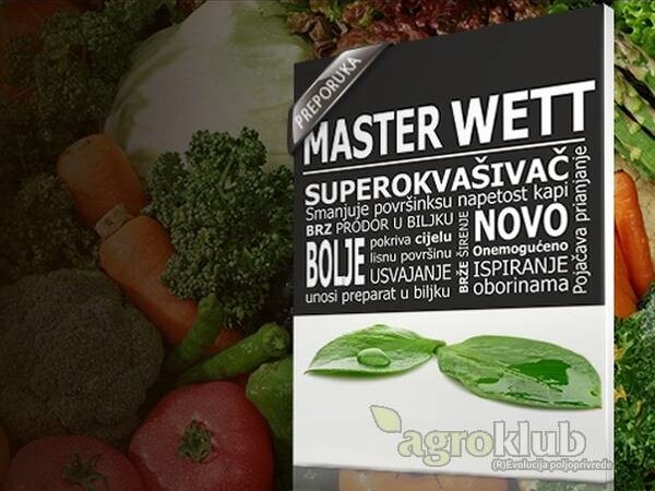 Master Wett