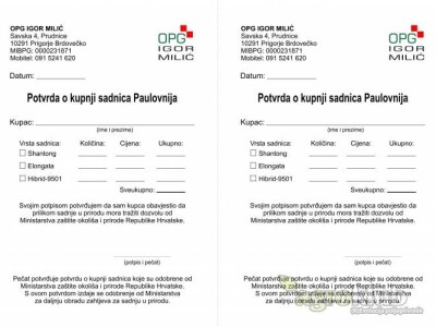 Paulovnija drvo-9501,Elongata,Shantong