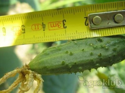 Tražimo poljoprivredne proizvođače