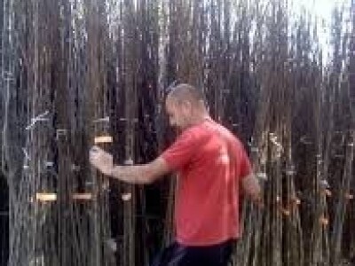 VOĆNE SADNICE,sve na jednom mestu