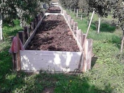 Glistenjak / organko gnojivo /kalifornijske gliste