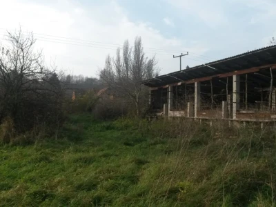 Farma za tov bikova