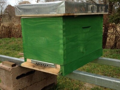 Prodajem rojeve pčela