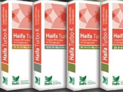 Haifa TURBO-K™ gnojivo