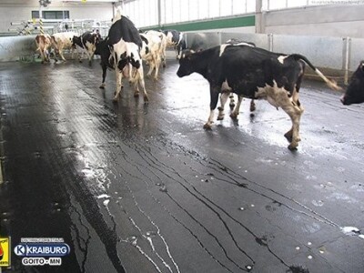 Gume za ležišta Kraiburg Siesta