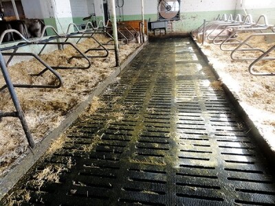 Gume za podove štale Kraiburg Kura