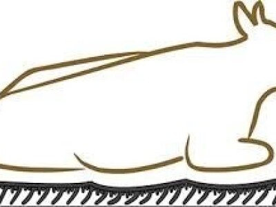 Gume za ležišta Kraiburg Wingflex