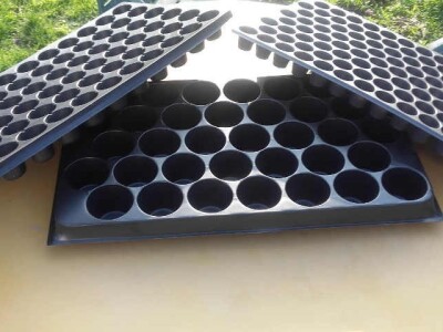 KONTEJNERI za rasad povrća i cveća