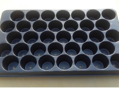 KONTEJNERI za rasad povrća i cveća