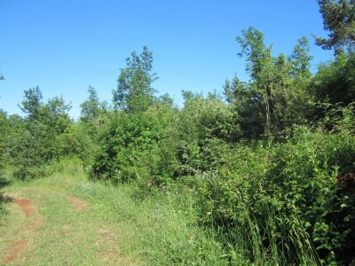 RAKALJ, ISTRA, Poljoprivredno zemljište