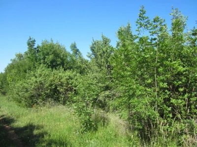 RAKALJ, ISTRA, Poljoprivredno zemljište