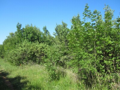 RAKALJ, ISTRA, Poljoprivredno zemljište