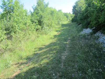 RAKALJ, ISTRA, Poljoprivredno zemljište