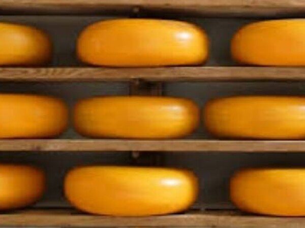 Premaz CESKA za zaštitu sira