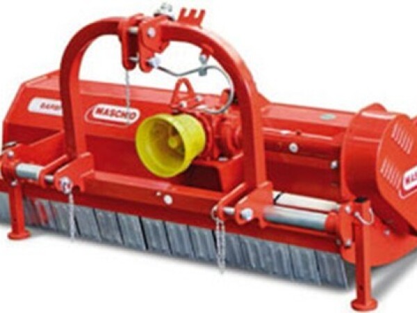 Tarupi Maschio Barbi