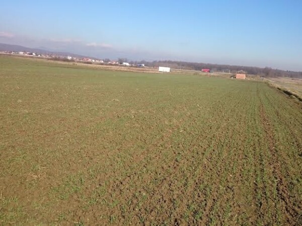 Poljoprivredno zemljište, Zagreb (Šašinovec), 30000 m2