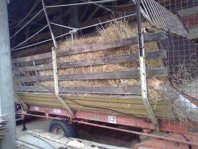 Samoutovarna prikolica za sijeno