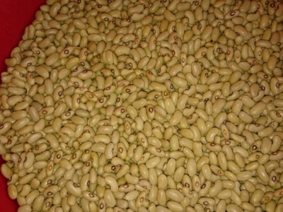 Prodajem zeleni grah