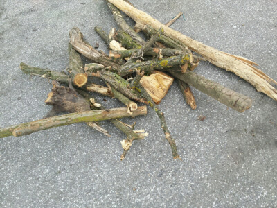 DROBILICA ZA DRVO WCX-5