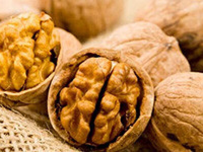 VOCNE I LOZNE SADNICE