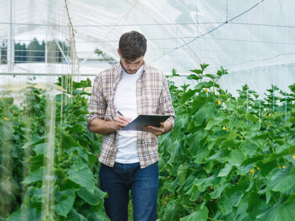Traži se agronom/ka za ekološki nadzor
