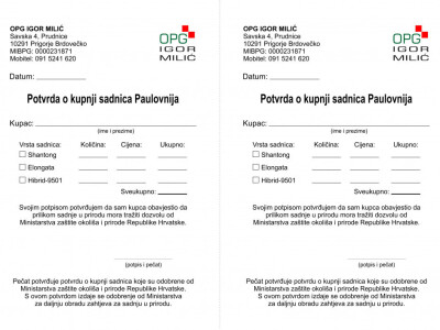 Paulovnije sadnce za jesensku sadnju