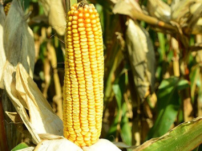 DKC4943 - Uvek stabilan!