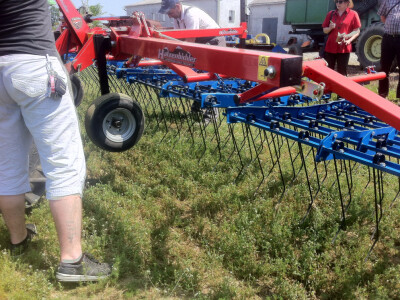 Štrigl - češljasta drljača