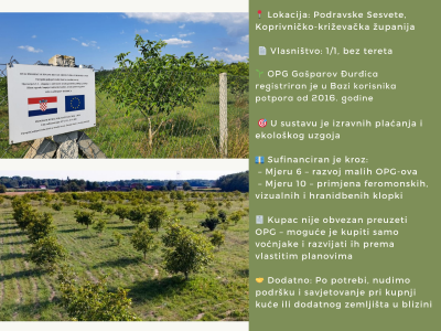 5.5 ha voćnjaka, 1500 stabala oraha, EKO OPG, osigurane polj.potpore