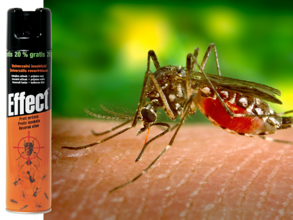 Učinkovito se riješite  stršljenova, osa, komaraca, mravi i drugih nametljivaca!