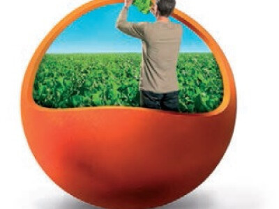 GRANDIOSA KWS -  Z tip, Rz/Cr - sjeme šećerne repe