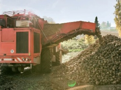 GRANDIOSA KWS -  Z tip, Rz/Cr - sjeme šećerne repe