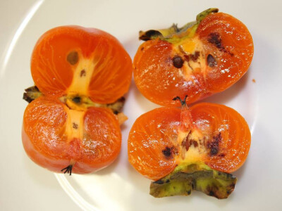 Američki Kaki(Diospyros Virginiana)-Meader