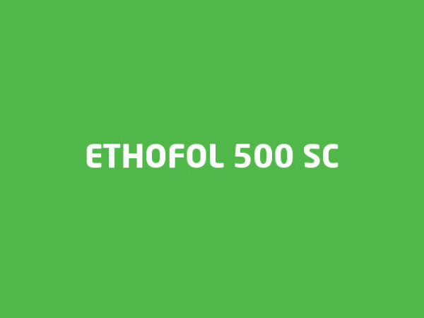 Ethofol 500 SC