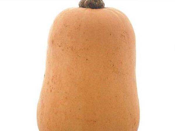 Sjeme tikve ARIEL F1