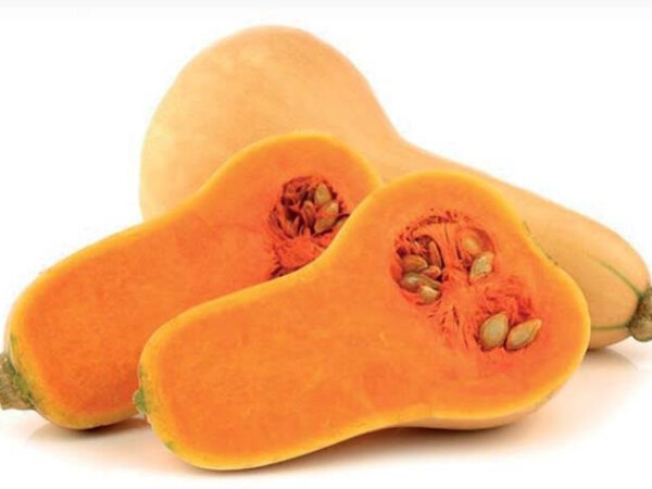 Sjeme tikve PLUTO F1