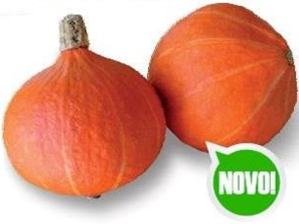 Sjeme tikve HOKKAIDO ORANGE