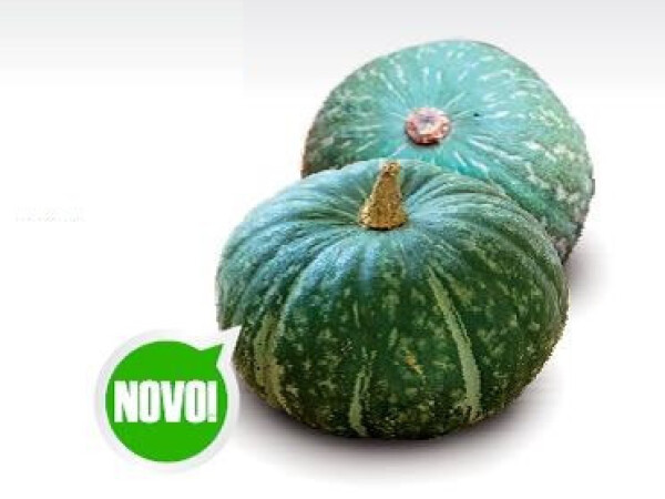 Sjeme tikve DELICA F1