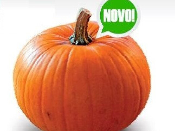 Sjeme dinje YELLOWGIRLS F1