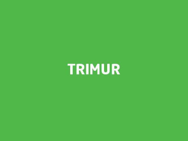 Trimur