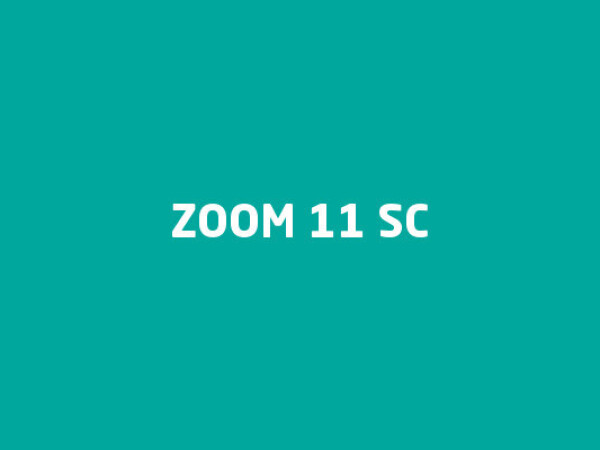 Zoom 11 SC - akaricid