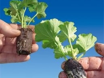 BASIC POT tresetni čepići