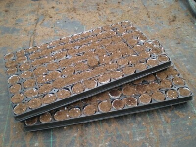 BASIC POT tresetni čepići