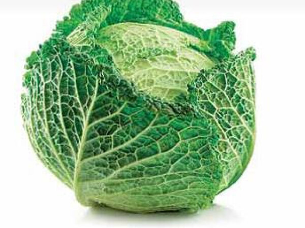 Sjeme kelja SAVOSTAR F1