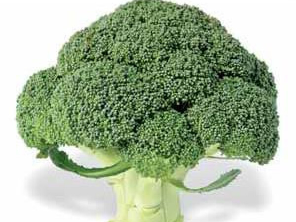 Sjeme brokule EOS F1