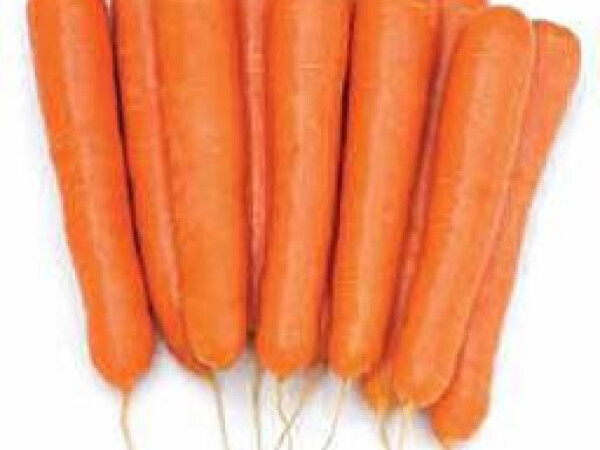 Sjeme mrkve OCTAVO F1