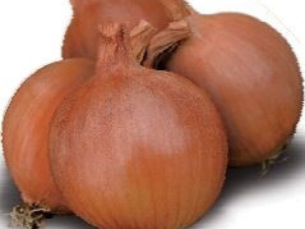 Sjeme luka KHROMA F1