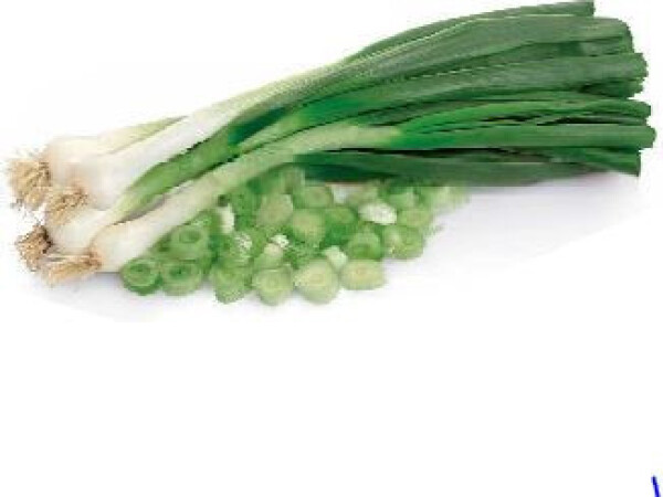 Sjeme mladog luka TOTEM