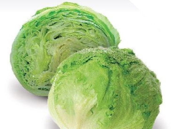 Sjeme salate PURSUIT